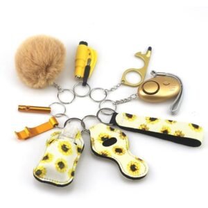 Portachiavi da collezione responsabile Popular collezione responsabile 10-Piece Set